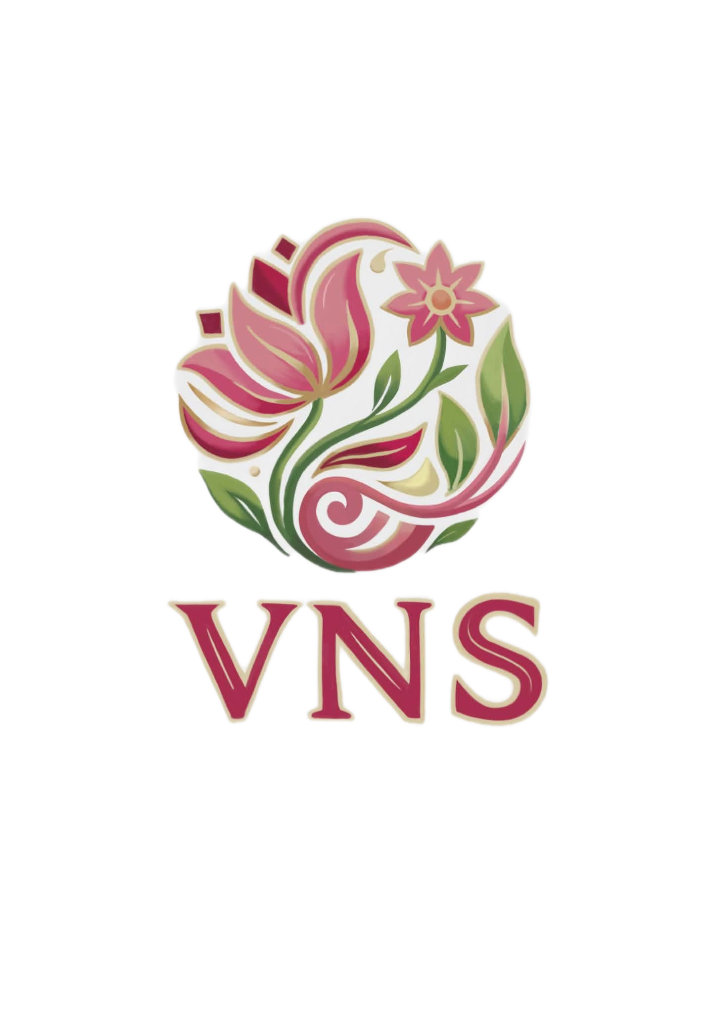 Logo VNS Studio